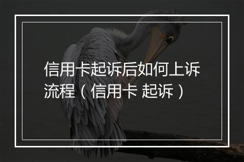 信用卡起诉后如何上诉流程（信用卡 起诉）