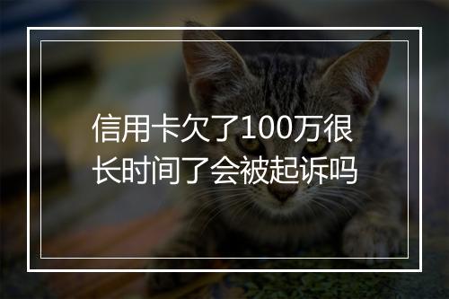 信用卡欠了100万很长时间了会被起诉吗