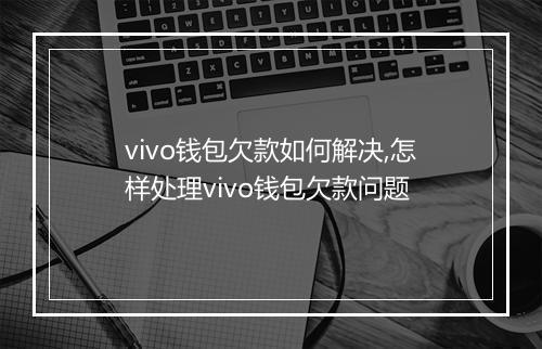 vivo钱包欠款如何解决,怎样处理vivo钱包欠款问题