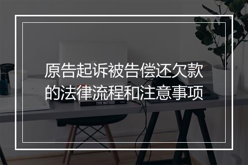 原告起诉被告偿还欠款的法律流程和注意事项