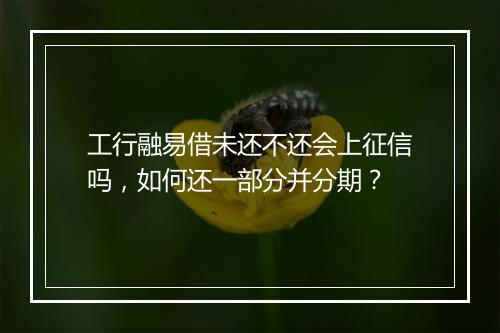 工行融易借未还不还会上征信吗，如何还一部分并分期？