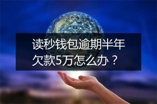 读秒钱包逾期半年欠款5万怎么办？