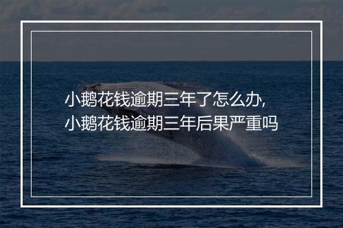 小鹅花钱逾期三年了怎么办,小鹅花钱逾期三年后果严重吗