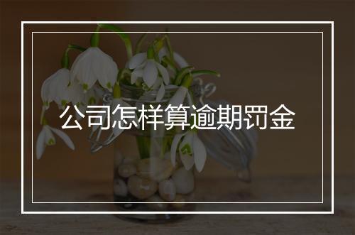 公司怎样算逾期罚金