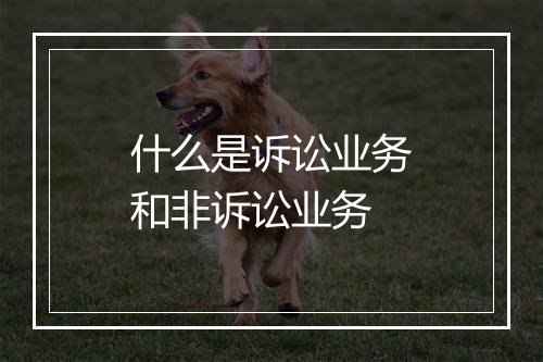 什么是诉讼业务和非诉讼业务