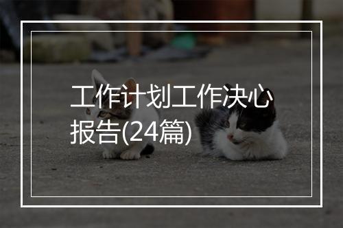 工作计划工作决心报告(24篇)