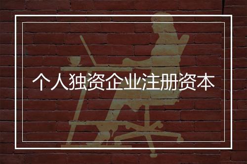 个人独资企业注册资本
