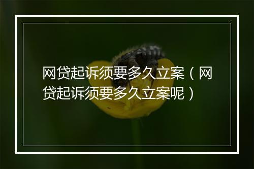 网贷起诉须要多久立案（网贷起诉须要多久立案呢）
