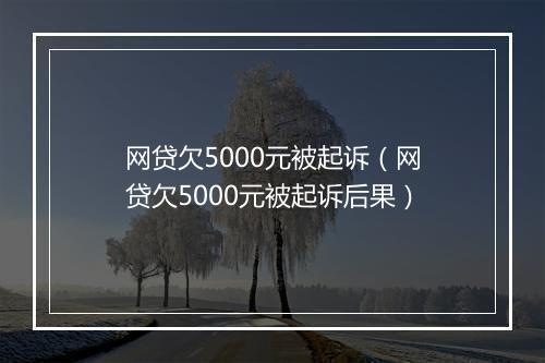 网贷欠5000元被起诉（网贷欠5000元被起诉后果）