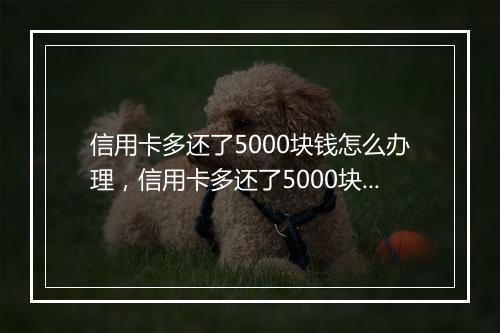 信用卡多还了5000块钱怎么办理，信用卡多还了5000块钱怎么办
