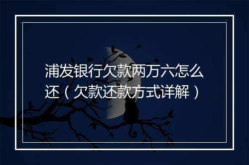 浦发银行欠款两万六怎么还（欠款还款方式详解）
