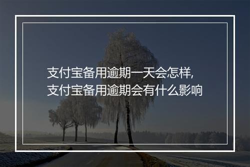 支付宝备用逾期一天会怎样,支付宝备用逾期会有什么影响
