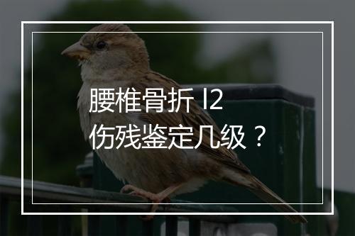 腰椎骨折 l2 伤残鉴定几级？