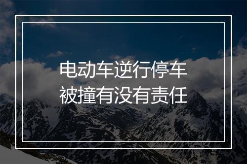 电动车逆行停车被撞有没有责任