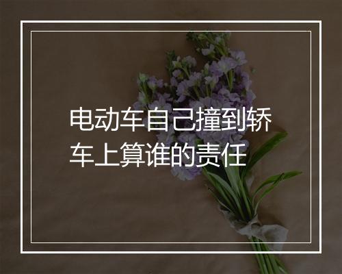 电动车自己撞到轿车上算谁的责任