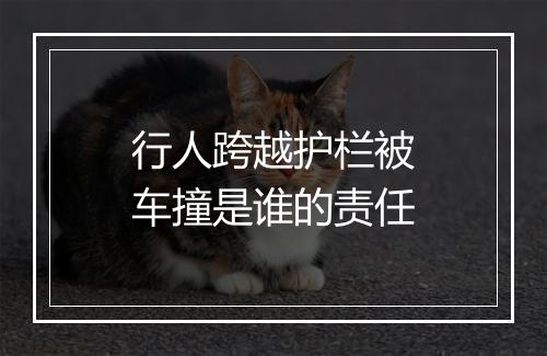 行人跨越护栏被车撞是谁的责任