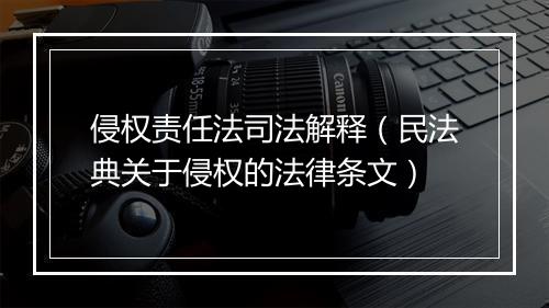 侵权责任法司法解释（民法典关于侵权的法律条文）