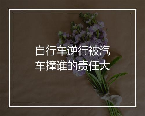 自行车逆行被汽车撞谁的责任大