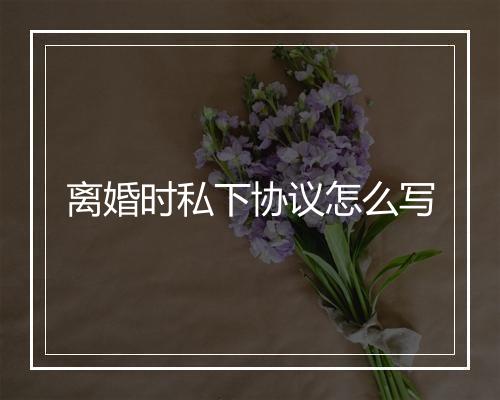 离婚时私下协议怎么写