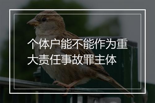 个体户能不能作为重大责任事故罪主体