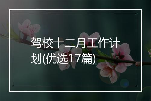 驾校十二月工作计划(优选17篇)