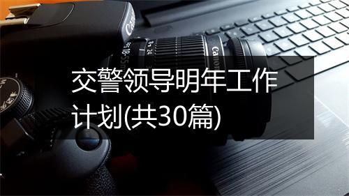 交警领导明年工作计划(共30篇)