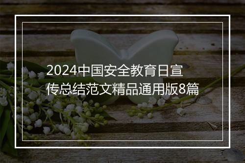 2024中国安全教育日宣传总结范文精品通用版8篇