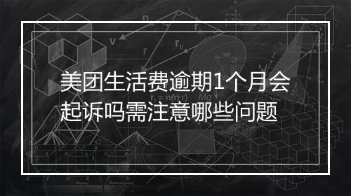 美团生活费逾期1个月会起诉吗需注意哪些问题