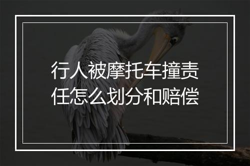 行人被摩托车撞责任怎么划分和赔偿