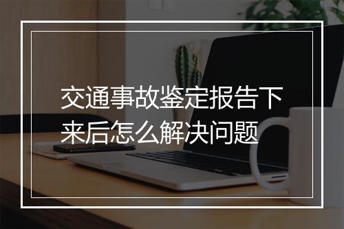交通事故鉴定报告下来后怎么解决问题