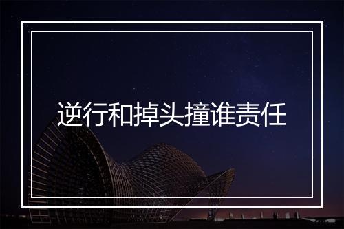 逆行和掉头撞谁责任