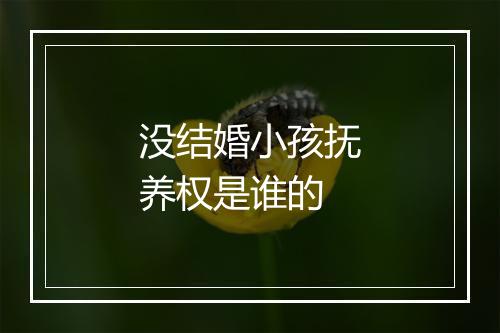 没结婚小孩抚养权是谁的