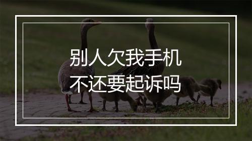 别人欠我手机不还要起诉吗