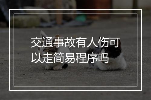 交通事故有人伤可以走简易程序吗