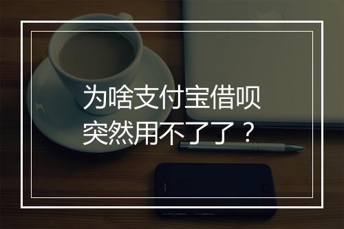 为啥支付宝借呗突然用不了了？