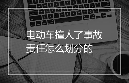 电动车撞人了事故责任怎么划分的