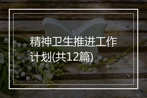 精神卫生推进工作计划(共12篇)
