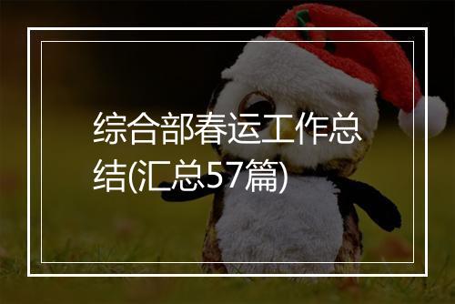 综合部春运工作总结(汇总57篇)