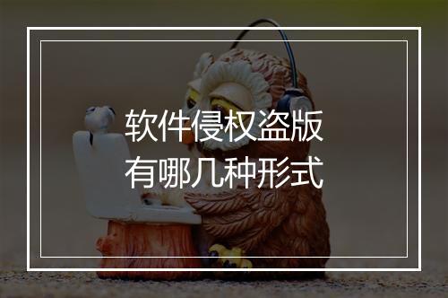 软件侵权盗版有哪几种形式