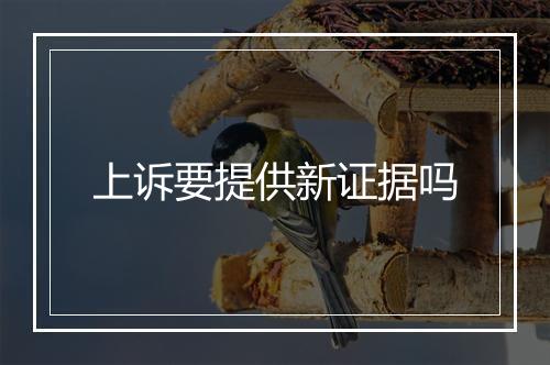 上诉要提供新证据吗
