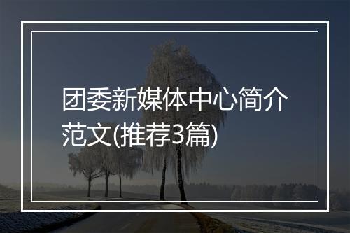 团委新媒体中心简介范文(推荐3篇)
