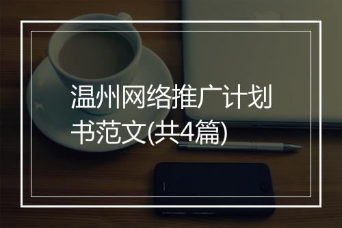 温州网络推广计划书范文(共4篇)