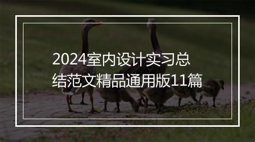 2024室内设计实习总结范文精品通用版11篇