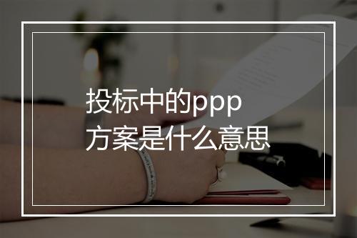 投标中的ppp方案是什么意思