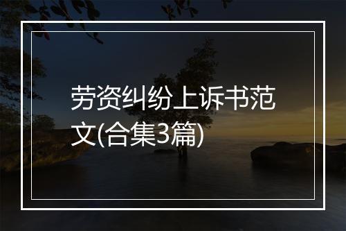劳资纠纷上诉书范文(合集3篇)