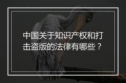 中国关于知识产权和打击盗版的法律有哪些？