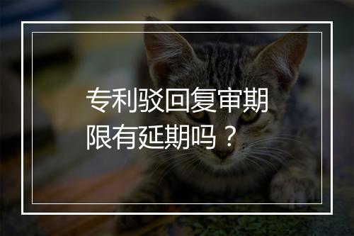 专利驳回复审期限有延期吗？