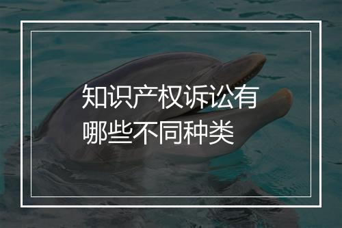 知识产权诉讼有哪些不同种类