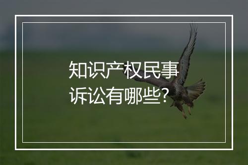 知识产权民事诉讼有哪些?