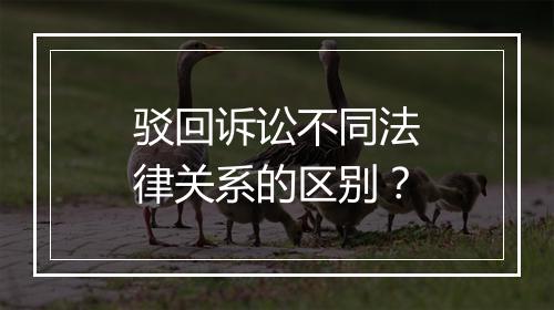 驳回诉讼不同法律关系的区别？